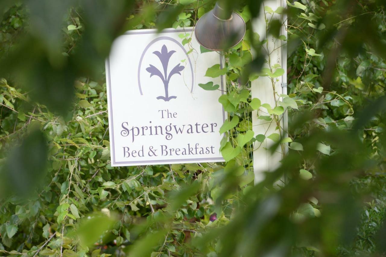 ساراتوغا سبرينغس، نيويورك The Springwater Bed And Breakfast المظهر الخارجي الصورة